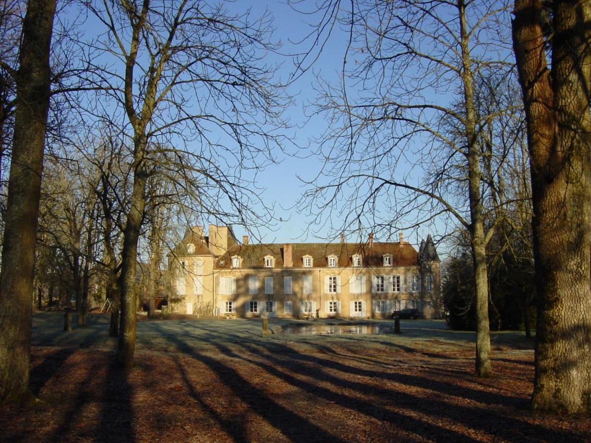Chateau D'Island Vezelay Pontaubert Exterior photo